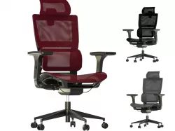 Innowin Capetown high back mesh office chair 3D model