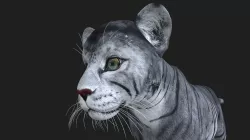 LION-030 Lion Cub 3D model