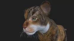 LION-034 Lion Cub 3D model