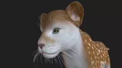 LION-037 Lion Cub 3D model