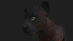 LION-039 Lion Cub 3D model