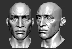 Male head sculpt human anatomy fantasy futuristic  3D model