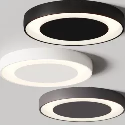 Modular Lighting Instruments Flat Moon Eclips Ceiling Lamps 3D model