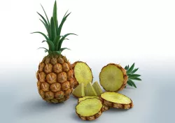 Pineapple 3D model