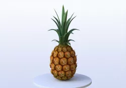 Pineapple 3D model