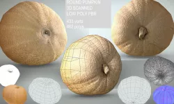 Round pumpkin  Low-poly 3D model