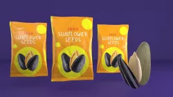sunflower seeds  3D model