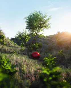 tree c4d 3D model
