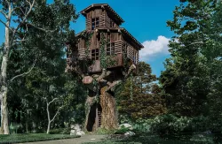 Tree House  3D model