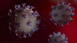 virus 3D model