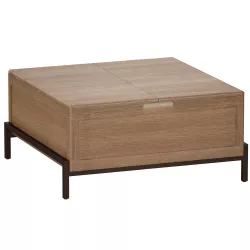 Winchester Square Trunk Crate and Barrel 3D model