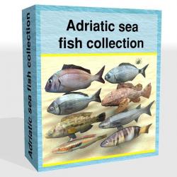 3D Figure Book Real Figure Box Deep Sea Fish Box 7 Species (Sea Fish) Japan F/S