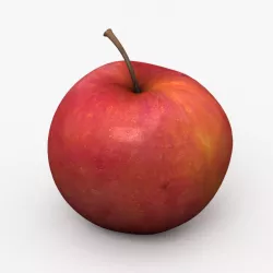 Apple 3D model