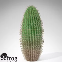 Arizona Barrel Cactus 3D model