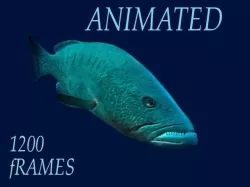Bass Fish 3D model
