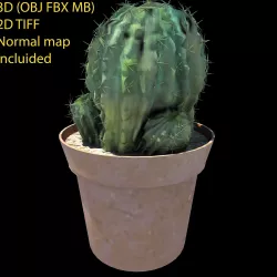 Cactus  3D model