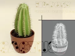 Cactus plant 3D model