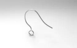 Earring hook
