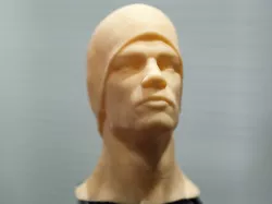 Head of a Very Serious Dude (High Definition STL) Amazing Detail