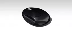 Modeling computer mouse