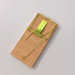 Mouse Trap 3D model