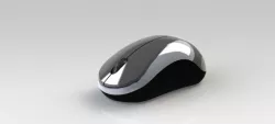Mouse
