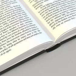 Opened Book Low-poly  3D model