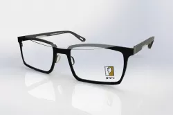Optical frame 1 3D model