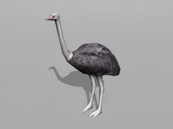 ostrich Low-poly  3D model