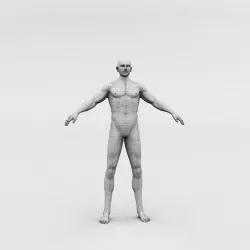 Realistic Male Body 3D Printed Low-poly  3D model