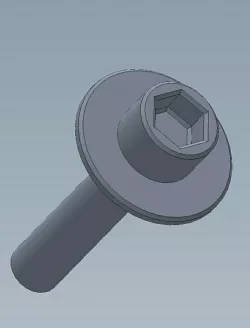Regulator screw