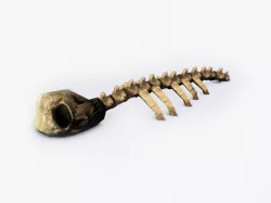 Ruined skeleton ribs Low-poly  3D model