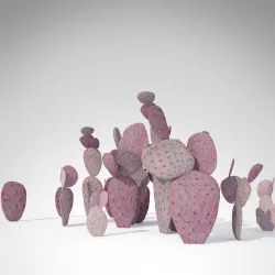 Santa Rita Prickly Pear 3D model