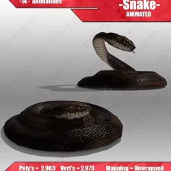 Snake Animated Low-poly  3D model