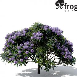 common rhododendron 3D Models | Page 1 | STLFinder