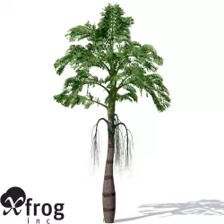 XfrogPlants Jaggery Palm 3D model