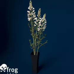 XfrogPlants Snapdragon 3D model