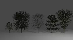5 Piece Tree Pack Low-poly 3D model