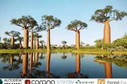 African plants - Include GrowFX and Mesh file  3D model