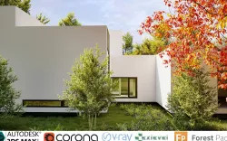 American European Tree - Include GrowFX and Mesh file  3D model