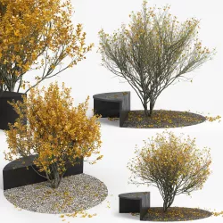 Autumn 3D model