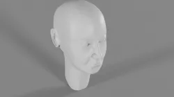 Basic Woman Face Shape  3D model