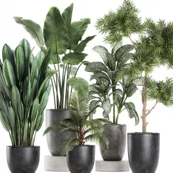 Collection of decorative plants in flowerpots 756 3D model