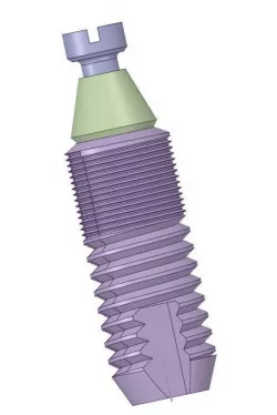 dental implants ready to FEA 3D model