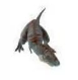 dinosaur 3D model