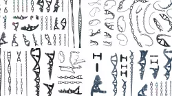 DNA PACK - 3D models - 29 brushes - 101 renders ready to use 3D model