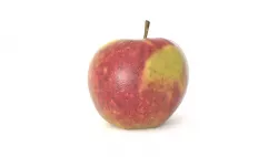 Elstar Apple Fruit Photoscan Low-poly 3D model