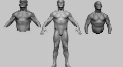 Fantasy Male Anatomy 3D model
