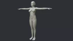 Female body 3D model