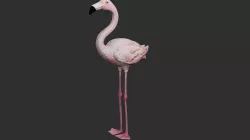 Flamingo 3D model